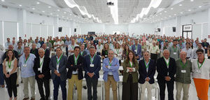 Las secciones de olivar de Dcoop facturaron en conjunto 875,30 millones de euros en 2025