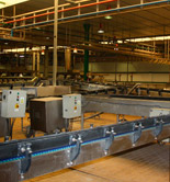 Dcoop aprueba la integración de la envasadora de aceitunas y conservas Acyco