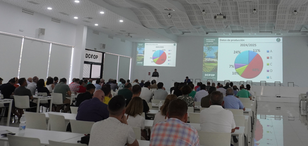 Dcoop apuesta por la formación para mejorar la calidad de los aceites producidos por sus socios