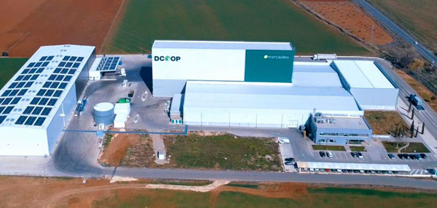 El Grupo Dcoop logra un récord mensual de aceite de oliva envasado en marzo