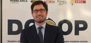 Manuel Pérez Vicente, nuevo Director Comercial Internacional de Dcoop