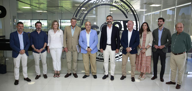La I Estrategia Andaluza para el Sector del Olivar, un 'revulsivo' para mejorar la competitividad y reforzar el liderazgo