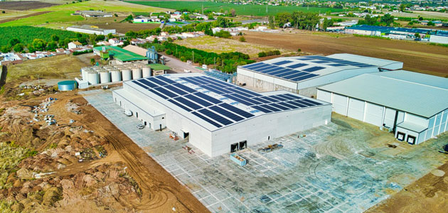 Las cooperativas agroalimentarias andaluzas lideran el ranking de las empresas más relevantes de la economía social en España