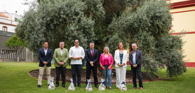 Declaración institucional en Sevilla para apoyar al sector de la aceituna de mesa en la provincia