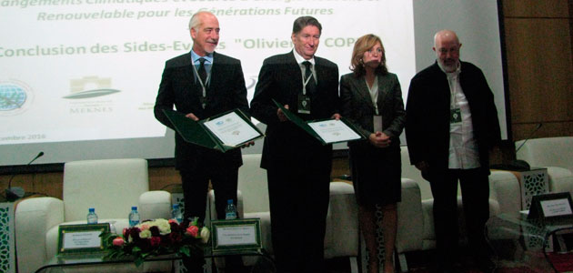 El Foro Internacional de l’Agro-pôle Olivier lanza una declaración de apoyo al olivar