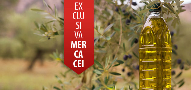 Previsiones iniciales de la campaña oleícola 2025/26 en los principales países productores