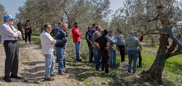 El programa 'Almazara' desarrolla su actividad en los campos del sur de Líbano