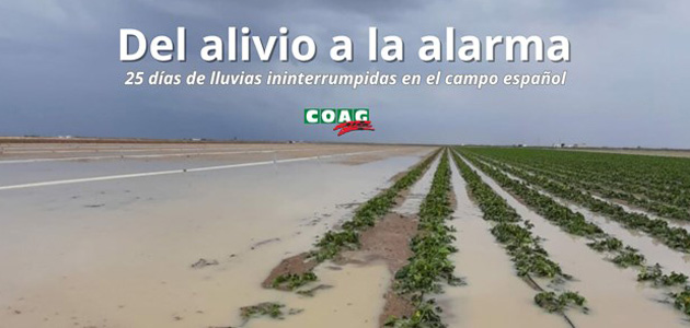 Primer balance del temporal en el campo: COAG elabora un mapa interactivo de impactos por CCAA