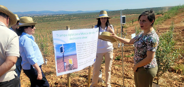 Andalucía destina 1.650.000 euros a la divulgación de soluciones tecnológicas en explotaciones agrarias
