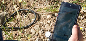 Próximas acciones demostrativas de "Demofarm Andalucía" para la transformación digital en el olivar