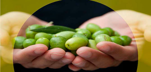 111.000 toneladas de aceite de oliva salen al mercado en el segundo mes de la campaña