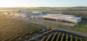 Deoleo sanea sus cuentas y cierra el ejercicio 2025 con un beneficio neto de 20 millones de euros