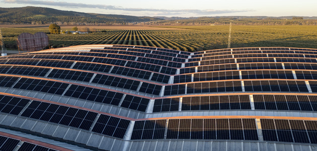 La iniciativa internacional SBTi valida los objetivos climáticos de Deoleo a 2032