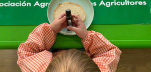 Desayunos con aceite de oliva virgen extra en los colegios para celebrar el Día de Andalucía