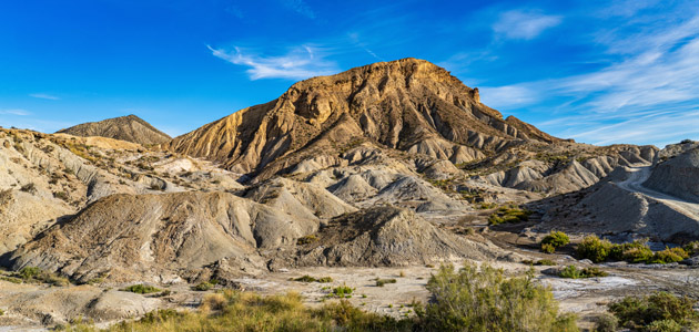 Primer Atlas de la desertificación de España: la degradación del suelo afecta a más del 40% del territorio