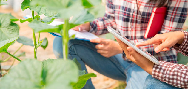 El Gobierno convoca ayudas para servicios de asesoramiento destinados a la digitalización del sector agroalimentario