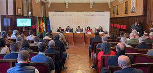 La Diputación de Jaén impulsa un Plan de Choque de 50 millones de euros para paliar los daños provocados por el temporal