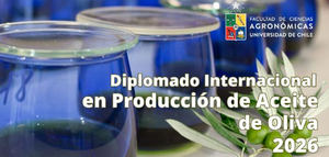 La Universidad de Chile organiza la 12ª edición del Curso de Diplomado en Producción de Aceite de Oliva