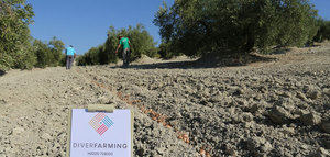 El equipo español de Diverfarming evalúa los primeros resultados de la diversificación de cultivos