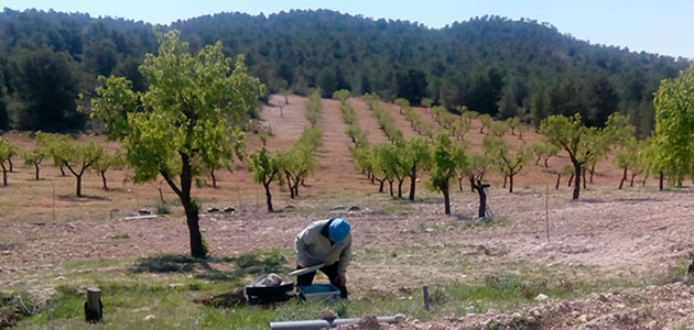Las prácticas de manejo sostenible salvan el suelo mediterráneo