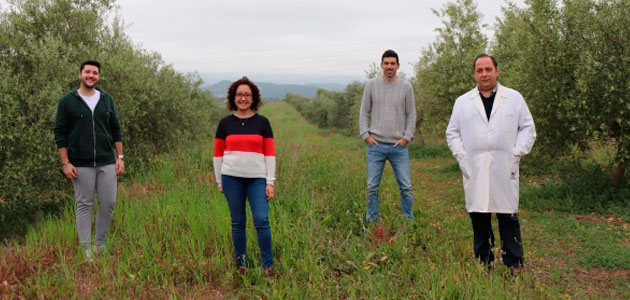 Las cubiertas vegetales generadas al diversificar cultivos incrementan el secuestro de carbono y reducen las pérdidas de suelo por erosión