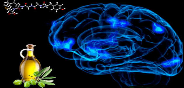 Relacionan el consumo de aceite de oliva con la producción de sustancias neuronales que reducen el dolor