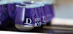 La segunda edición de Domina International Olive Oil Contest premia a 27 AOVEs españoles