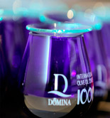 La primera edición de Domina International Olive Oil Contest premia a 28 AOVEs españoles