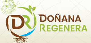 Nace DOÑANA REGENERA, un proyecto que transformará prácticas agrícolas en cultivos como el olivar