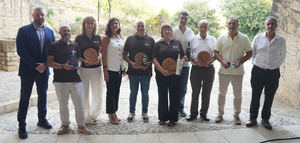 La Diputación de Castellón celebra la V edición de los Premios AOVE