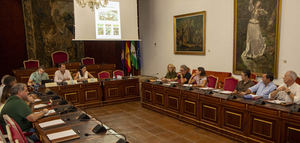 La Diputación de Córdoba consigue que 90 empresas oleícolas se adhieran a "Oleoturismo España"