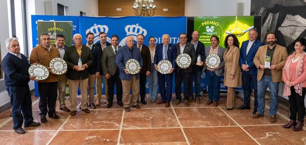 La Diputación de Huelva entrega los galardones del X Premio al Mejor AOVE de la campaña 2023/24