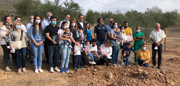 'Un Nacimiento, Un Olivo', un proyecto para proteger los olivos autóctonos de la comarca de la DOP Priego de Córdoba