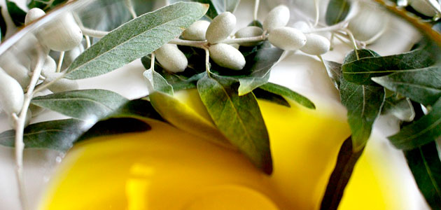 Cooperativas Agro-alimentarias reclama unas inspecciones 'ágiles y eficaces' que garanticen la calidad del aceite de oliva