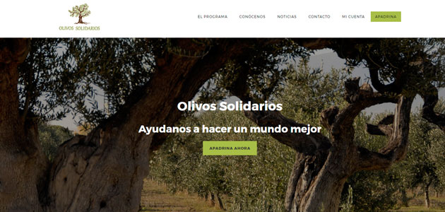 'El aceite de la vida', un proyecto para promocionar el AOVE y revitalizar el olivar de montaña de la comarca segureña