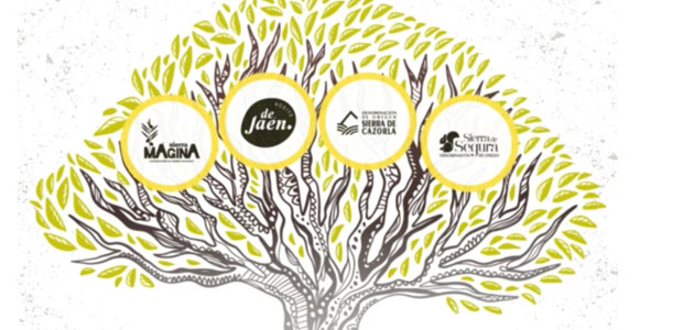 Las figuras de calidad diferenciada de AOVE de Jaén inician su primera campaña promocional a nivel nacional