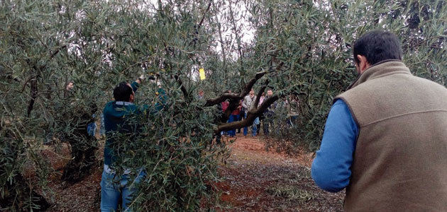 El MAPA presenta una propuesta preliminar sobre los eco-esquemas