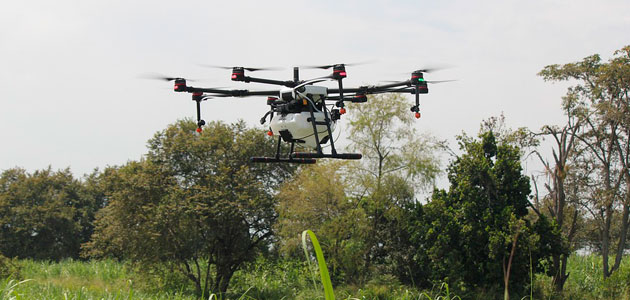 'CreceA', una iniciativa para la transformación digital del sector agrario andaluz