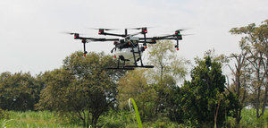 El uso de drones permite anticipar el estado fisiológico y las necesidades nutricionales del olivar