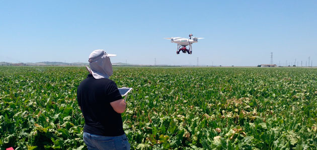 El dron, un aliado imprescindible en la investigación agronómica andaluza
