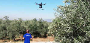 El grupo operativo "Drones y Olivar" concluye el penúltimo vuelo en olivares