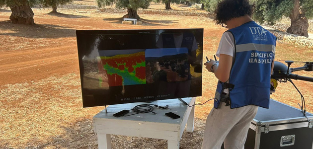 Drones, satélites y sensores hiperespectrales para la monitorización y el control de la Xylella fastidiosa