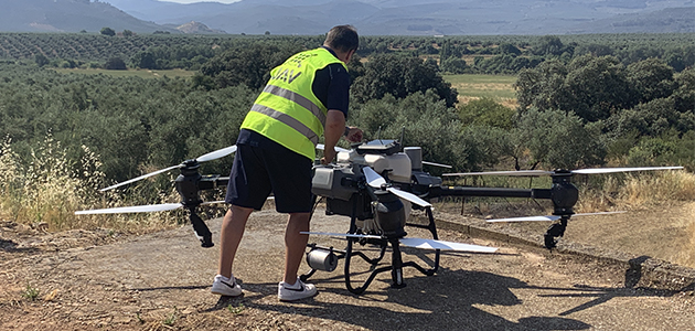 Acercan la agricultura de precisión al olivar tradicional a través de un dron diseñado para mejorar su eficiencia y rentabilidad