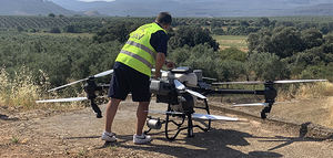 Acercan la agricultura de precisión al olivar tradicional a través de un dron diseñado para mejorar su eficiencia y rentabilidad