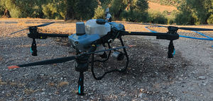 Monitorización y nuevos ensayos con drones contra la mosca del olivo