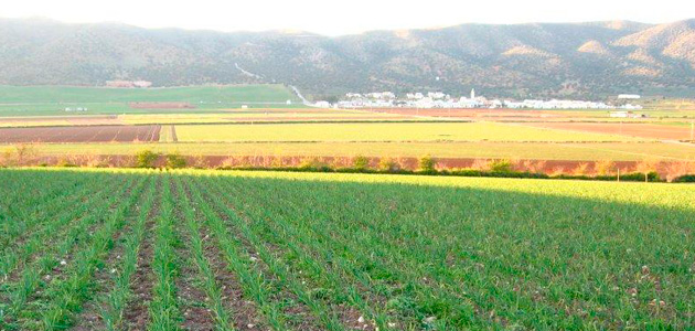 Andalucía priorizará por primera vez ayudas a la producción ecológica junto a parques naturales
