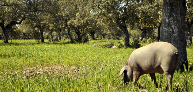 Ecovalia defiende la necesidad de apostar por la economía circular