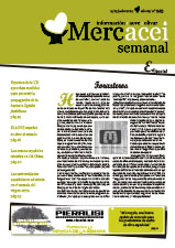 Semanal Nº 913