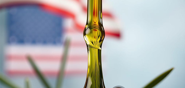 La exportación de aceite de oliva, en el punto de mira en MUNDOLIVAR 2025