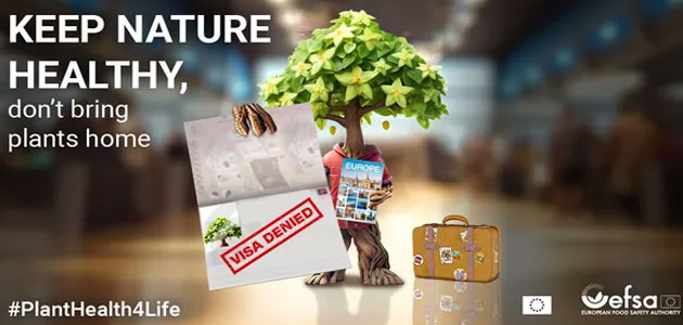 Vuelve #PlantHealth4Life, la campaña europea que promueve la concienciación en materia de sanidad vegetal